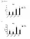 Fig. 28 - CYCLOTIDES AS IMMUNOSUPPRESSIVE AGENTS