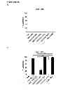 Fig. 33 - CYCLOTIDES AS IMMUNOSUPPRESSIVE AGENTS