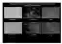 Fig. 01 - dsRNA/DNA Hybrid Genome Replication Intermediate Of Metakaryotic Stem Cells