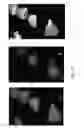 Fig. 10 - dsRNA/DNA Hybrid Genome Replication Intermediate Of Metakaryotic Stem Cells