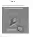 Fig. 12 - dsRNA/DNA Hybrid Genome Replication Intermediate Of Metakaryotic Stem Cells