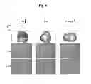 Fig. 07 - Liposome composite body