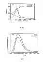 Fig. 05 - Curcumin coated magnetite nanoparticles for biomedical applications