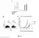 Fig. 05 - Conjugates of GM-CSF and IL-7, compositions and methods related thereto