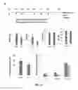 Fig. 07 - Conjugates of GM-CSF and IL-7, compositions and methods related thereto