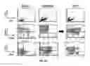 Fig. 13 - Conjugates of GM-CSF and IL-7, compositions and methods related thereto