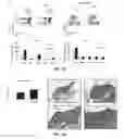 Fig. 17 - Conjugates of GM-CSF and IL-7, compositions and methods related thereto