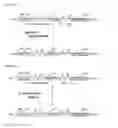 Fig. 03 - Glycosylated polypeptide and pharmaceutical composition containing same