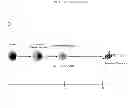 Fig. 03 - Generating vasculogenic cell populations
