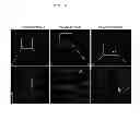 Fig. 09 - Generating vasculogenic cell populations