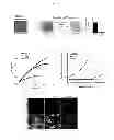 Fig. 10 - Generating vasculogenic cell populations