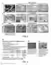 Fig. 06 - Method and composition for inducing human pluripotent stem cells