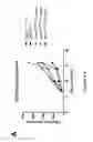 Fig. 07 - Compositions and methods for enhanced generation of hematopoietic stem/progenitor cells