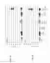 Fig. 02 - Combination therapy for a stable and long term engraftment using specific protocols for T/B cell depletion