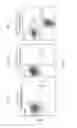 Fig. 03 - Combination therapy for a stable and long term engraftment using specific protocols for T/B cell depletion