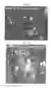 Fig. 05 - Pharmaceutical coposition of cardiac stem cells and mesenchymal stem cells