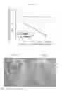Fig. 10 - Pharmaceutical coposition of cardiac stem cells and mesenchymal stem cells