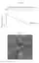 Fig. 12 - Pharmaceutical coposition of cardiac stem cells and mesenchymal stem cells
