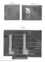 Fig. 18 - Pharmaceutical coposition of cardiac stem cells and mesenchymal stem cells