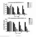 Fig. 03 - VECTOR SIMULTANEOUSLY EXPRESSING DODECAMERIC TRAIL AND HSV-TK SUICIDE GENES, AND ANTICANCER STEM CELL THERAPEUTIC AGENT USING SAME