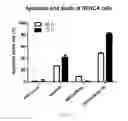 Fig. 04 - VECTOR SIMULTANEOUSLY EXPRESSING DODECAMERIC TRAIL AND HSV-TK SUICIDE GENES, AND ANTICANCER STEM CELL THERAPEUTIC AGENT USING SAME