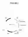 Fig. 03 - Methods and compositions for targeted cleavage and recombination