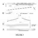Fig. 04 - Methods and compositions for targeted cleavage and recombination
