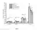 Fig. 04 - Protective effects and application of a lactobacillus plantarum on the alleviation of lead toxicity