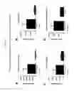 Fig. 08 - Ischemic tissue cell therapy