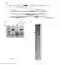 Fig. 02 - Novel Toxin-Antitoxin System