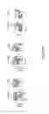 Fig. 10 - Method of boosting the immune response in neonates