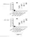Fig. 22 - Method of boosting the immune response in neonates