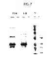 Fig. 08 - SPARC binding ScFcs