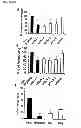 Fig. 09 - Methods of treating pain by inhibition of VGF activity