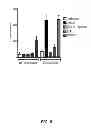 Fig. 06 - Methods for the treatment or prevention of systemic sclerosis
