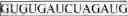 Fig. 22 - SDF-1 Binding Nucleic Acids and the Use Thereof