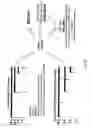 Fig. 41 - SDF-1 Binding Nucleic Acids and the Use Thereof