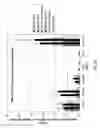 Fig. 43 - SDF-1 Binding Nucleic Acids and the Use Thereof