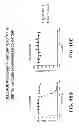 Fig. 49 - Anti-DLL3 antibody drug conjugates for treating cancer
