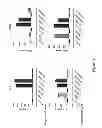 Fig. 04 - Use of the CD2 signaling domain in second-generation chimeric antigen receptors