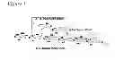 Fig. 02 - Beta-glucan compounds, compositions, and methods