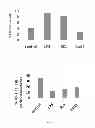 Fig. 06 - Products and methods