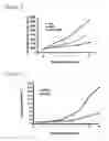 Fig. 06 - PIV5 as oncolytic agent