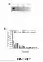 Fig. 08 - Attenuated live bacteria with increased acid resistance and methods of use thereof