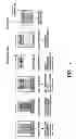Fig. 02 - SILK-BASED SCAFFOLD PLATFORM FOR ENGINEERING TISSUE CONSTRUCTS
