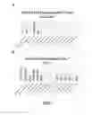 Fig. 08 - Artificial antigen presenting cells having a defined and dynamic shape