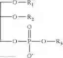 Fig. 02 - Lipid extraction processes