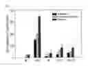 Fig. 08 - Pharmaceutical composition for preventing or treating inflammatory diseases or asthma, containing lagerstroemia ovalifolia extract or fraction thereof as active ingredient