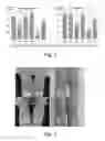 Fig. 02 - Composition for treating atopic dermatitis comprising extracts of bamboo and scutellaria