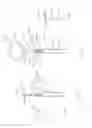Fig. 03 - Fruit flavoring in the image of a fruit portion stored with a vessel for flavoring a fluid